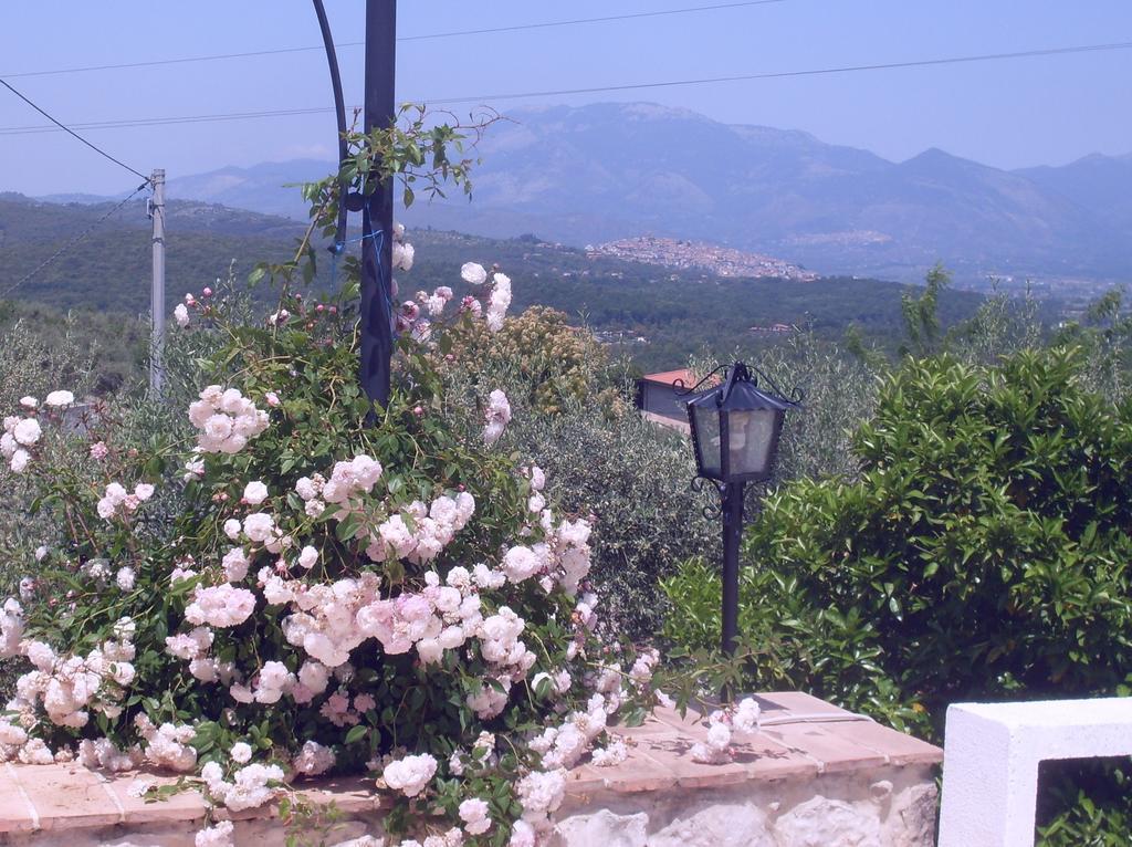 B&B H.M. Sonnino Exterior foto